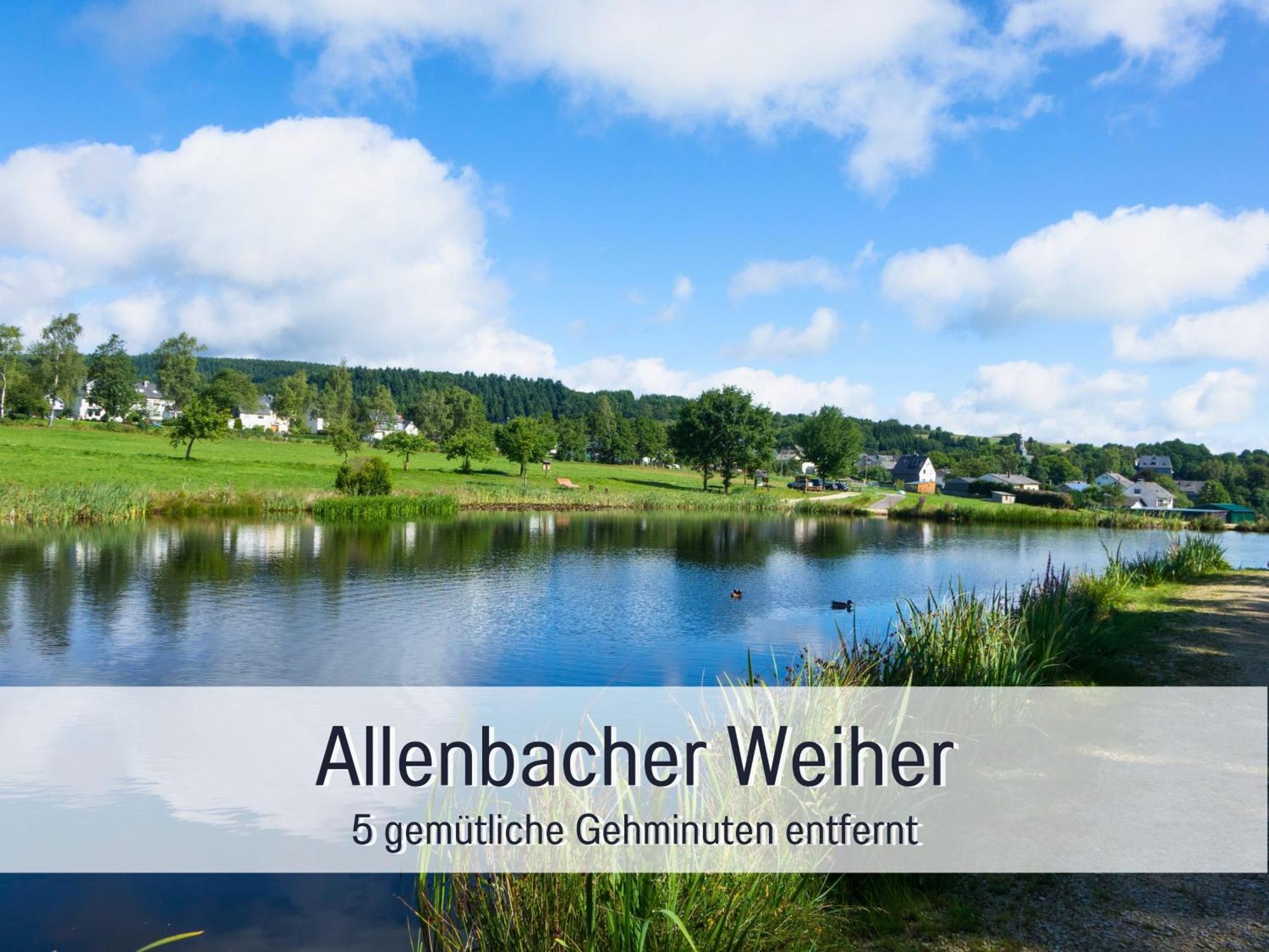 4 Sterne Ferienhaus "Zum Weiher" Allenbach Экстерьер фото